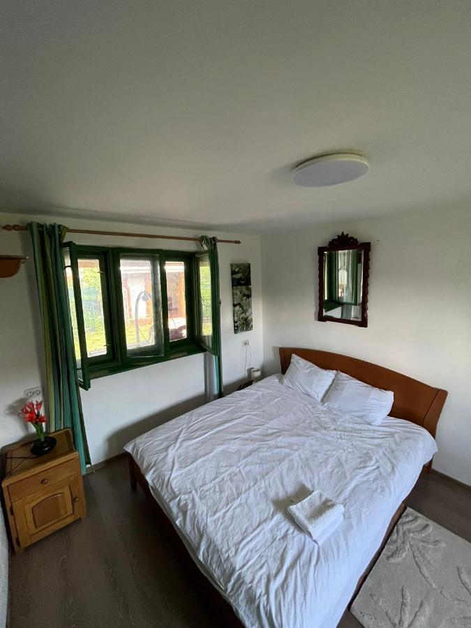 La Tataia Zahei Hotel Dragus ภายนอก รูปภาพ