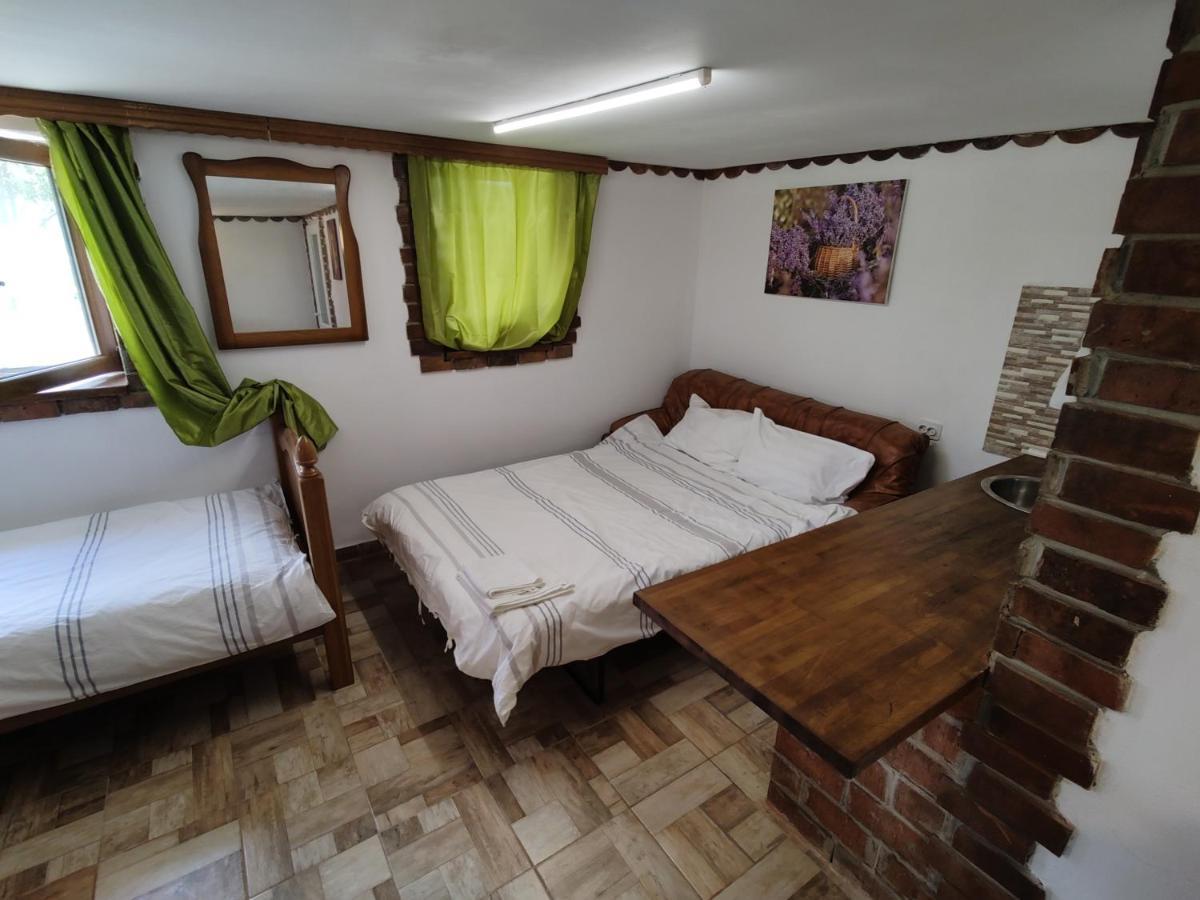 La Tataia Zahei Hotel Dragus ภายนอก รูปภาพ